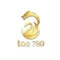 toe789 เว็บพนันที่ผสานความทันสมัยกับความปลอดภัยระดับสากล